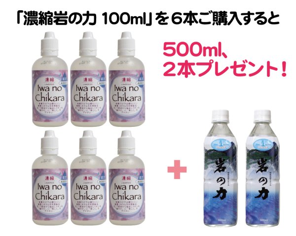 画像1: 海の日セール｜濃縮岩の力100ml6本で岩の力500ml2本プレゼント (1)